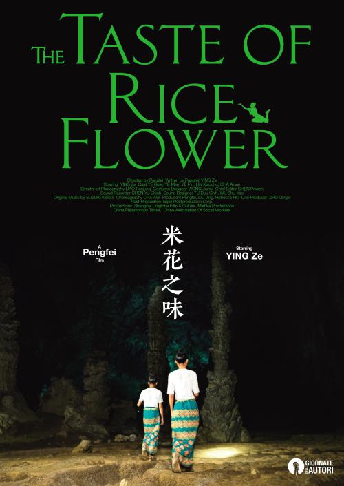 公寓房本照片房产证